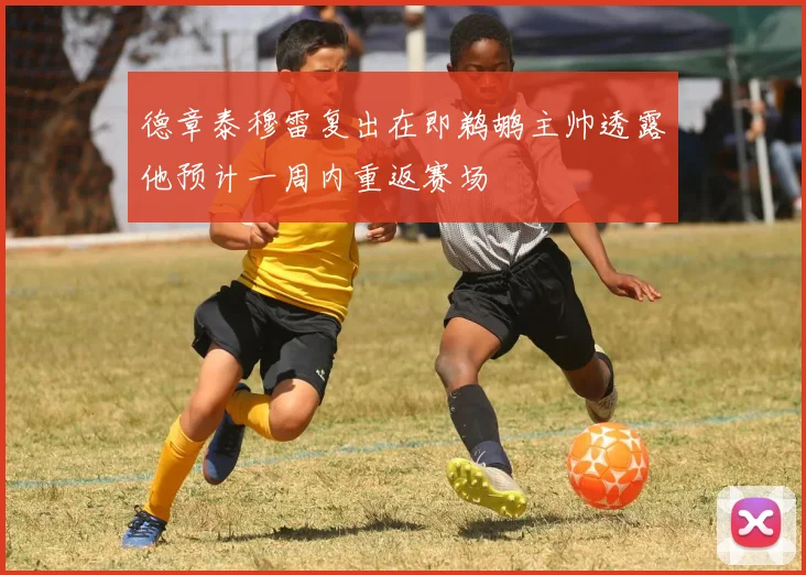 德章泰穆雷复出在即鹈鹕主帅透露他预计一周内重返赛场